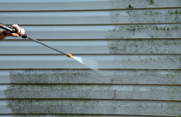 Best Local Pressure Washing Services  in Oak Ridge, TN