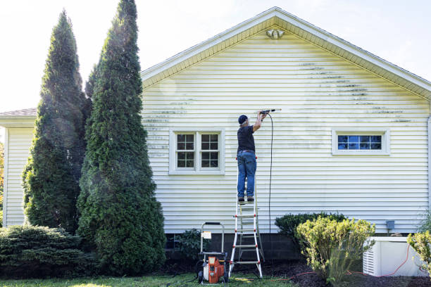 Best Deck Cleaning Services  in Oak Ridge, TN